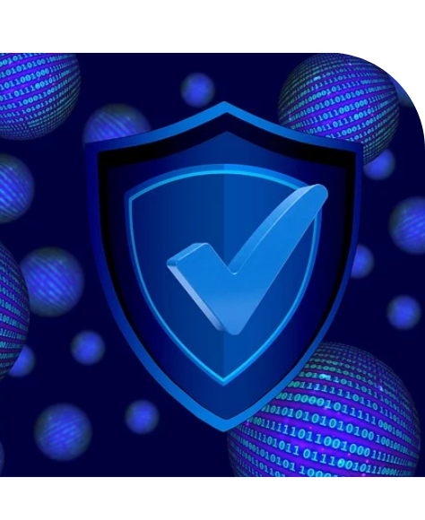 Security & Optimization